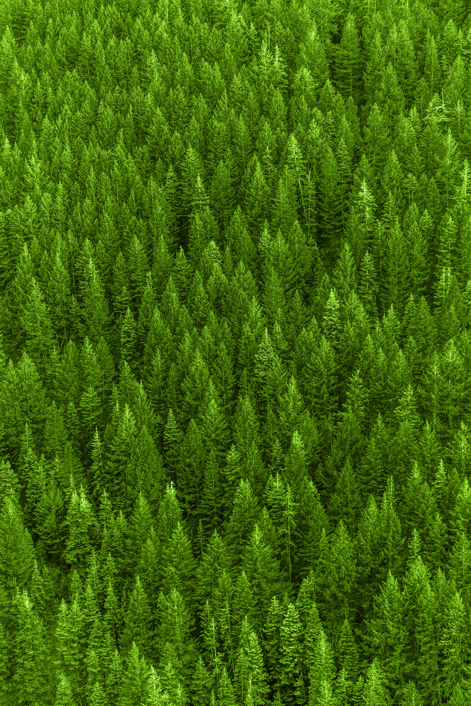 Euskaltel - ¡Compensemos juntos la huella de carbono!