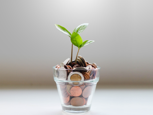 Euskaltel - Excedentes y mantenimiento